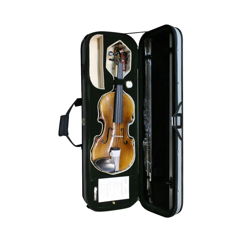 Carica immagine in Galleria Viewer, DOMUS VL4400 ACCADEMIA I VIOLINO 4/4