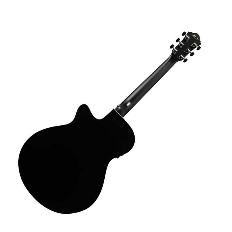 Carica immagine in Galleria Viewer, IBANEZ AEG50 Amplificata