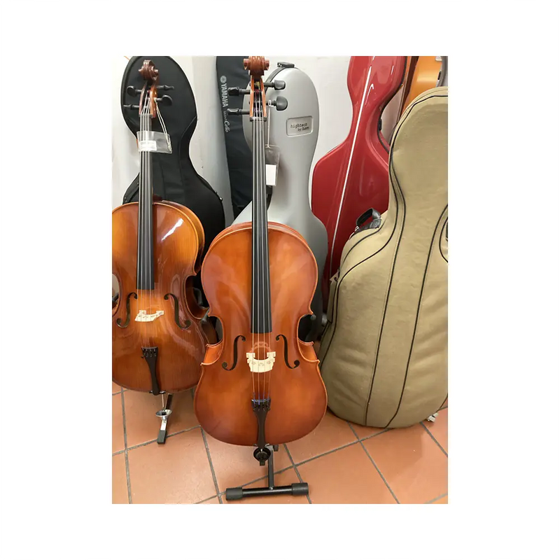 Carica immagine in Galleria Viewer, EASTMAN VC 80 VIOLONCELLO 4/4 *USATO*