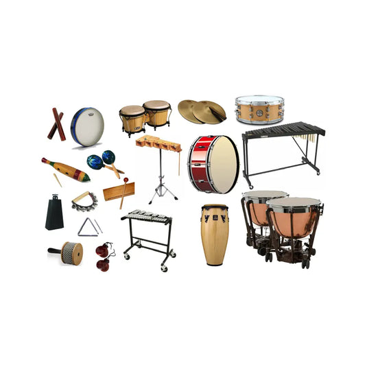 PERCUSSIONI ORCHESTRALE ED ETNICHE