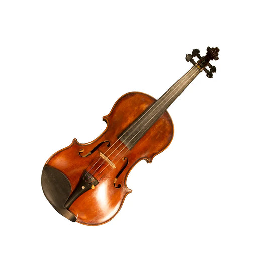 VIOLA METODI