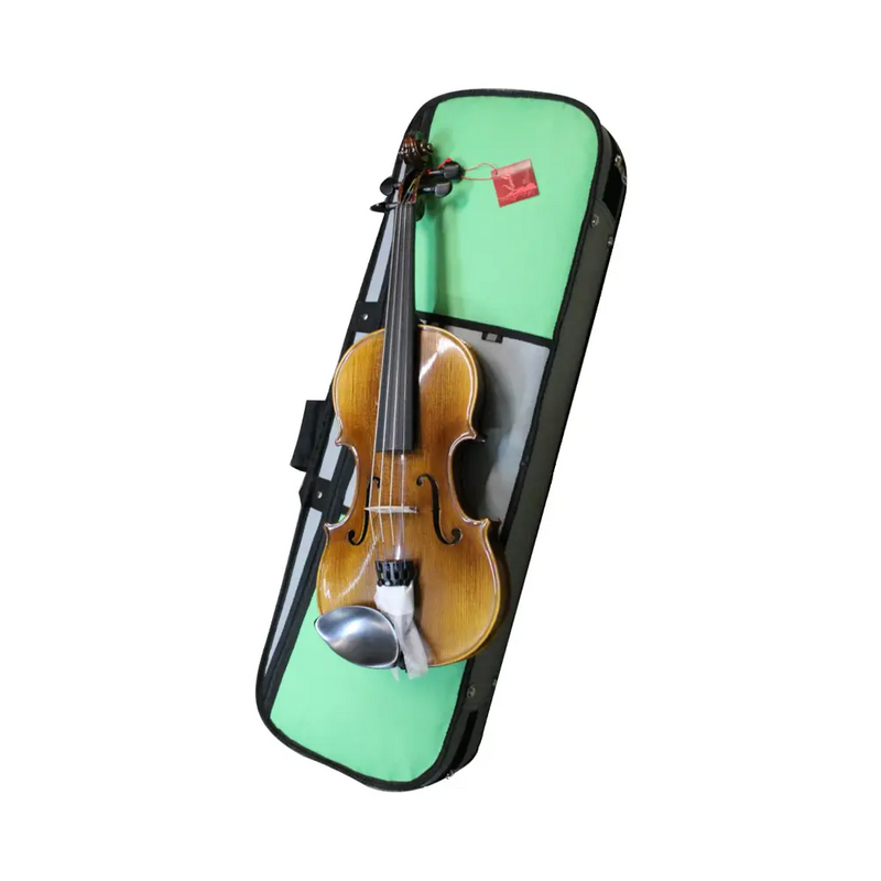 Carica immagine in Galleria Viewer, DOMUS VL4400 ACCADEMIA I VIOLINO 4/4
