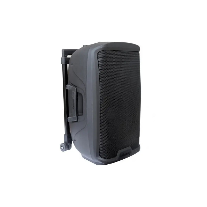 Carica immagine in Galleria Viewer, GEMINI AS2112BT TOGO Trolley + Mic WIFI Cassa Attiva
