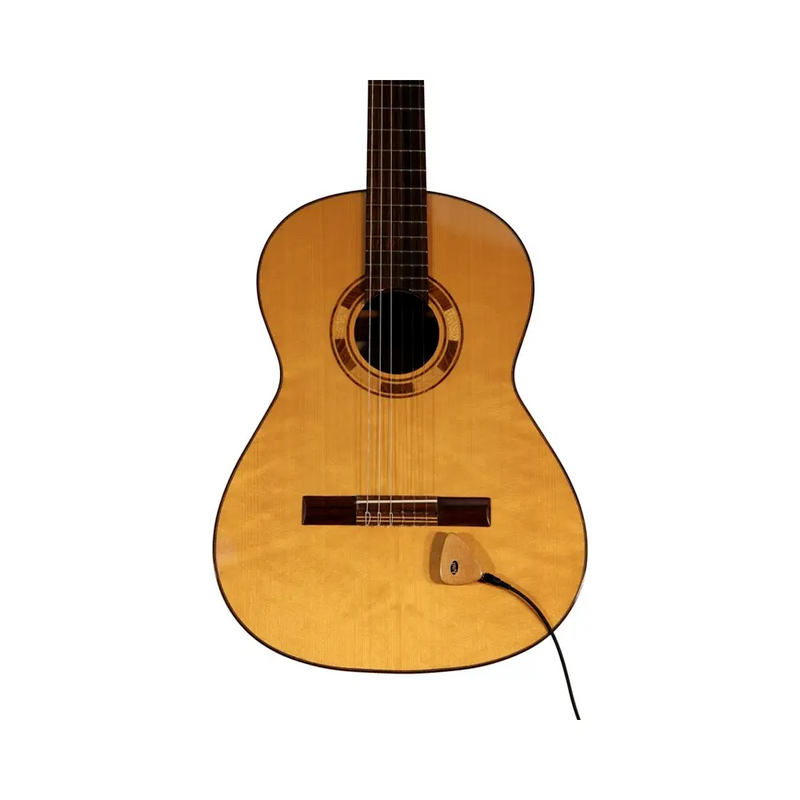 Carica immagine in Galleria Viewer, KNA AP-1  PICK-UP Trasduttore
