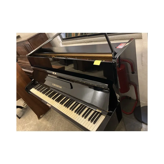 BECHSTEIN 112 *USATO*