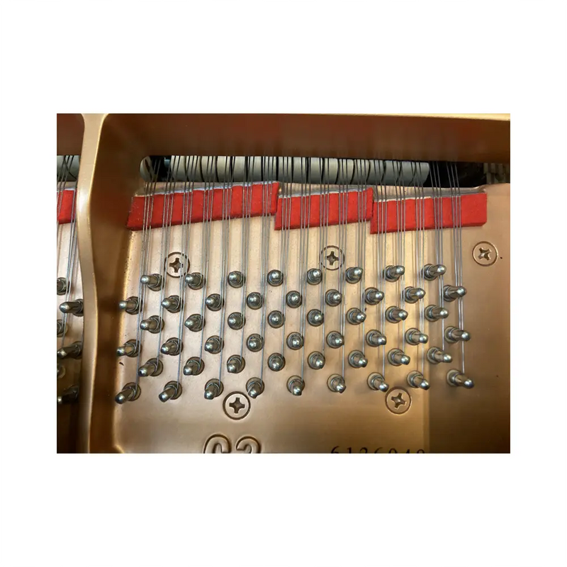Carica immagine in Galleria Viewer, YAMAHA C3L *USATO*
