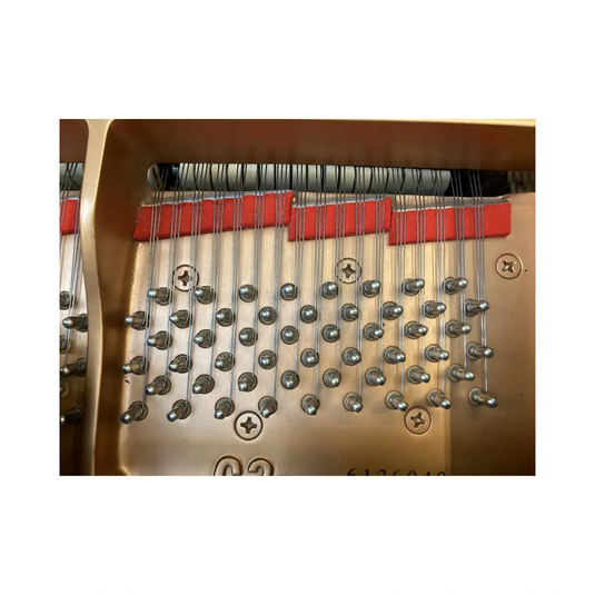 YAMAHA C3L *USATO*