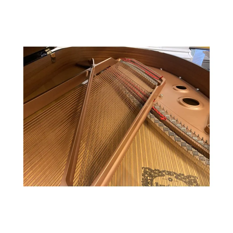 Carica immagine in Galleria Viewer, YAMAHA C3L *USATO*
