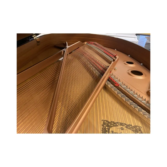 YAMAHA C3L *USATO*