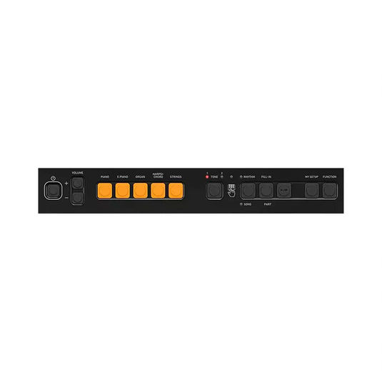 CASIO CT-S100