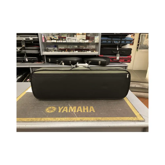 GAO 2004VA 4/4 Astuccio per Violino