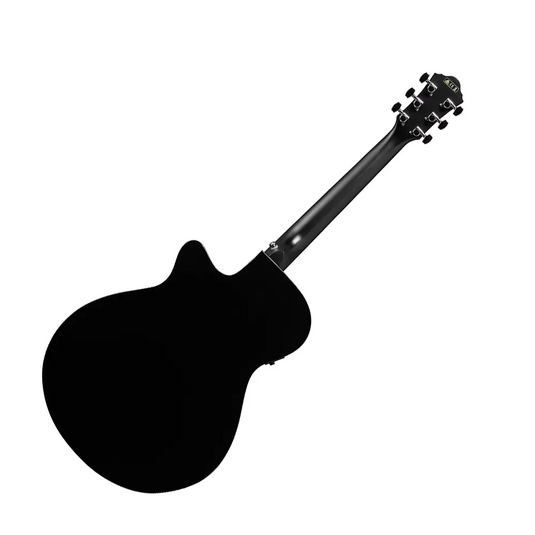 IBANEZ AEG50 Amplificata