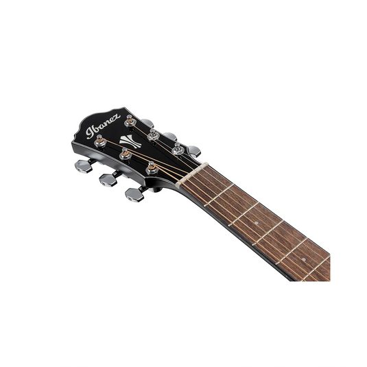 IBANEZ AEG50 Amplificata