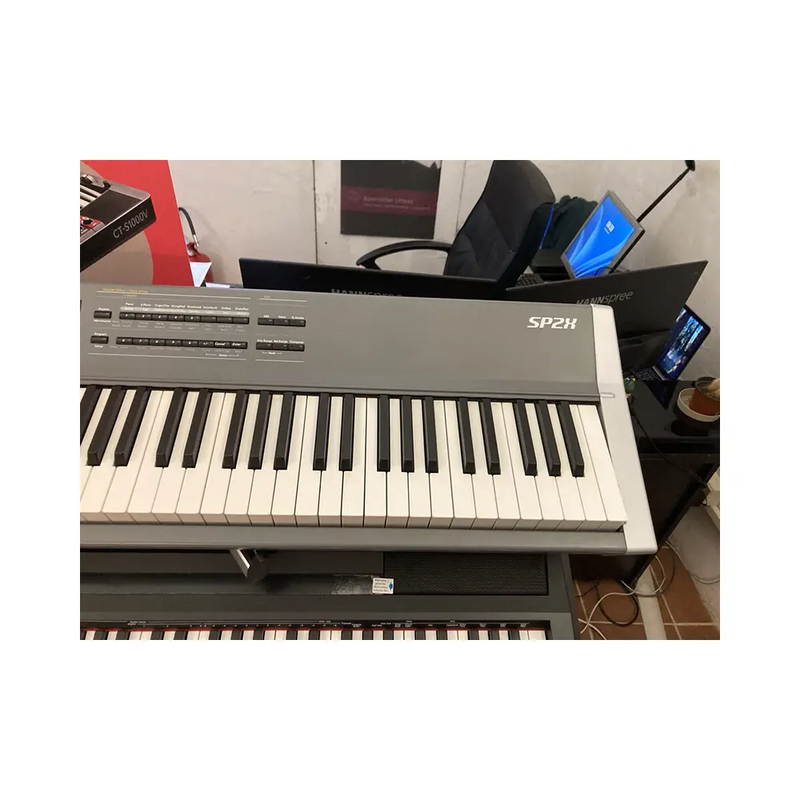 Carica immagine in Galleria Viewer, KURZWEIL SP2X *USATO*

