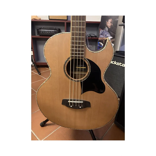 ORTEGA CHALLENGER C2-5 *USATO*