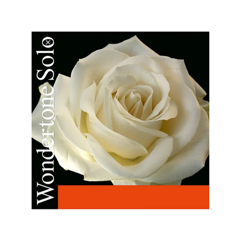Carica immagine in Galleria Viewer, PIRASTRO WONDERTONE SOLO BALL MUTA - VIOLINO
