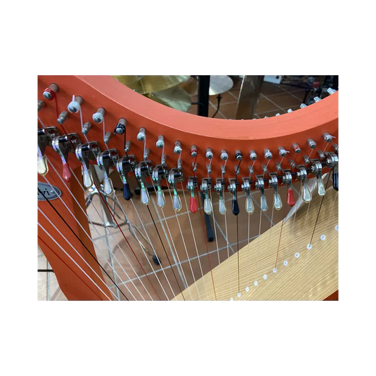 ARPA SALVI JUNO 27 Ex Noleggio