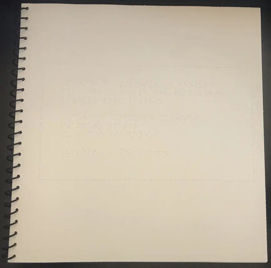 MAESTRI - Metodo di Scrittura e Lettura Musicale Braille Vers. Allievo