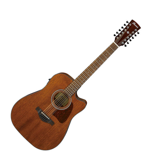 IBANEZ AW54 12 CORDE