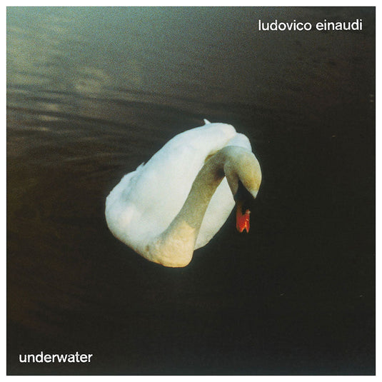 EINAUDI - Underwater