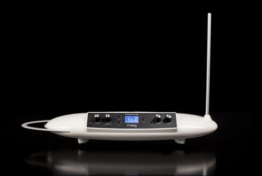MOOG THEREMINI