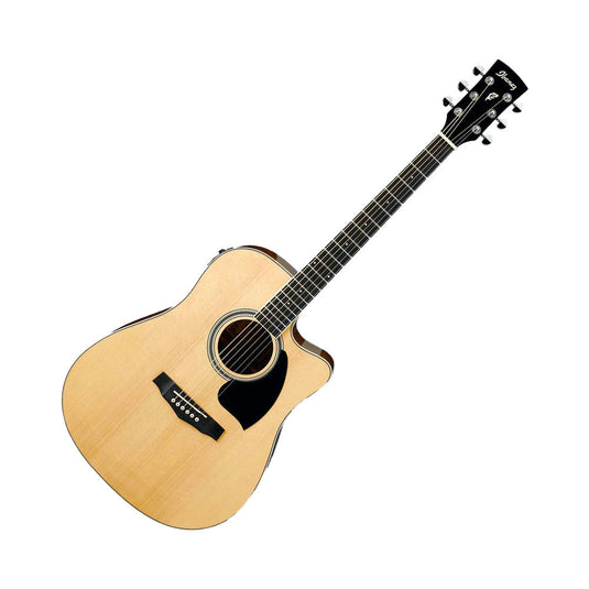 IBANEZ PF15ECE NT