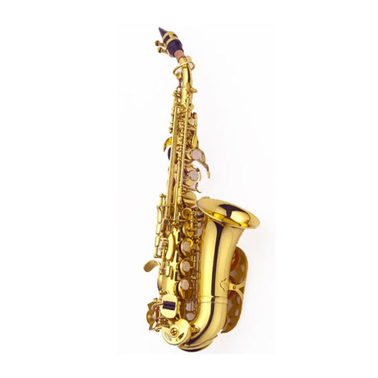 SAX SOPRANO SX305C CURVO+ ASTUCCIO